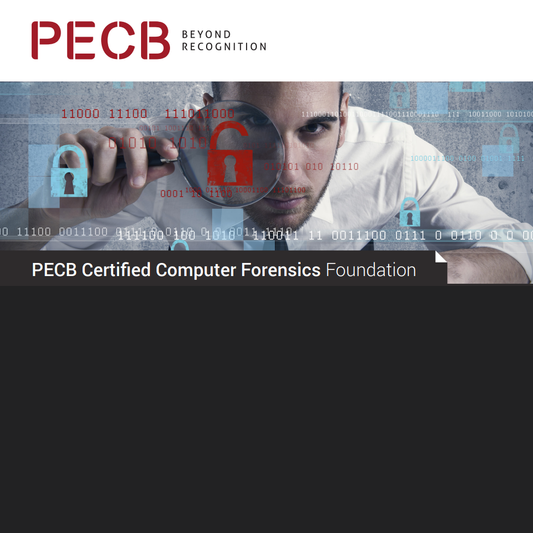 Computer Forensics Foundation (Self-Study or e-Learning)