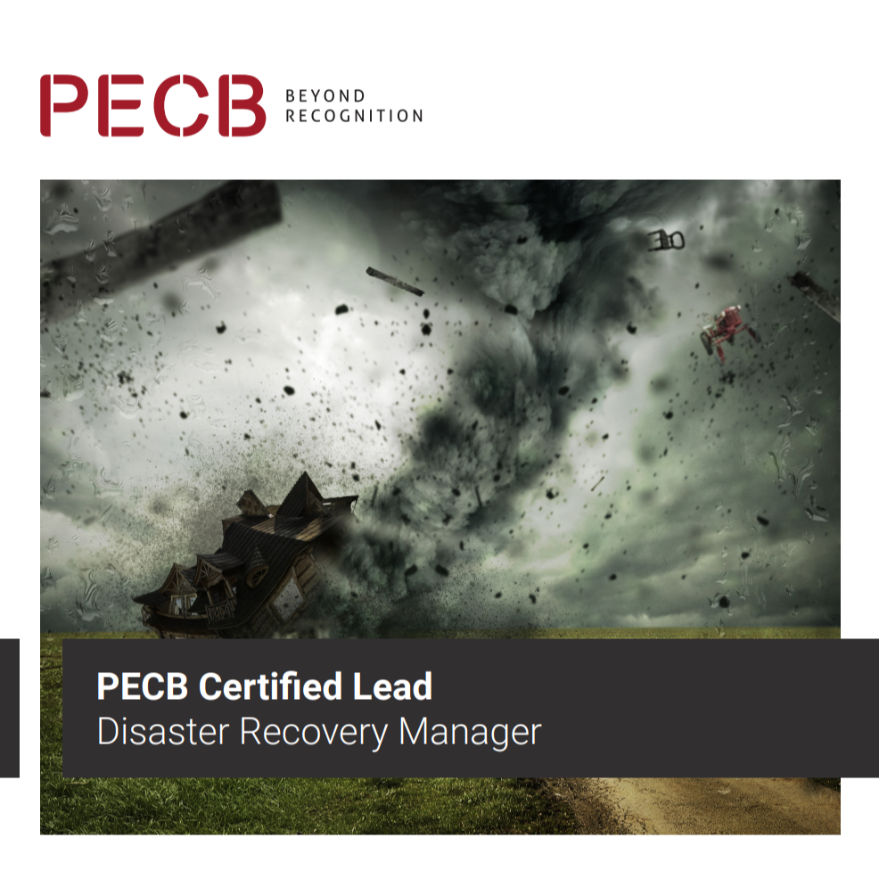 Lead Disaster Recovery Manager