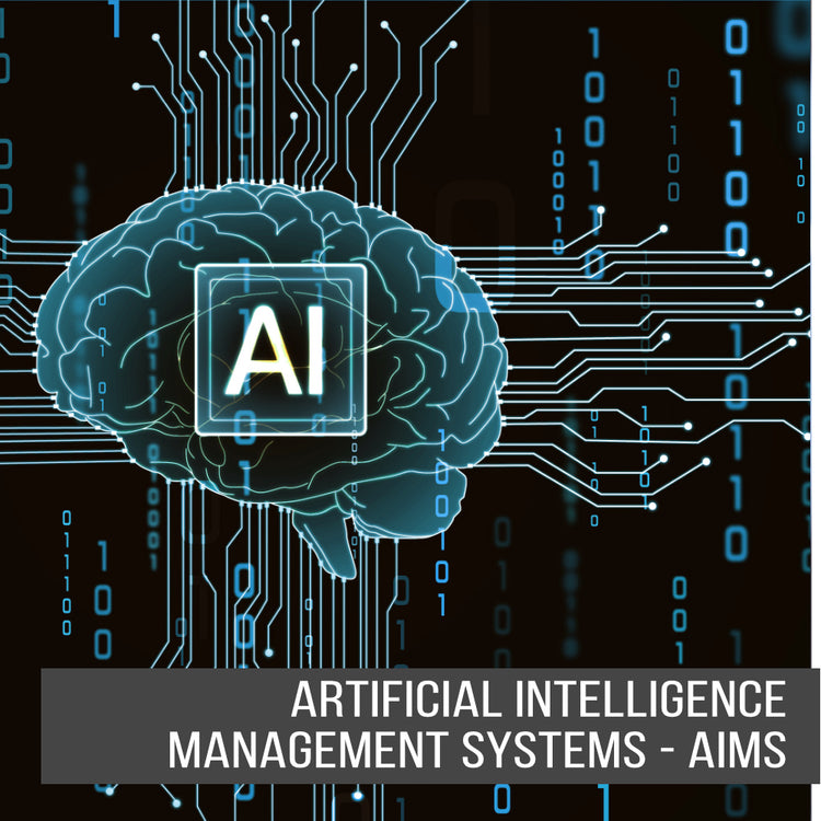 Artificial Intelligence Management Systems - AIMS